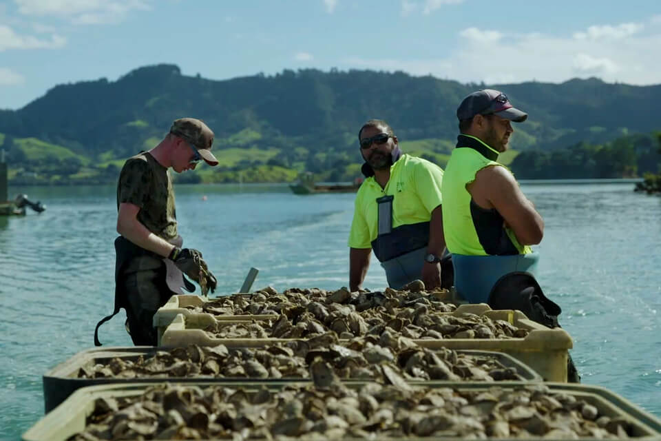 Tio Team Whangaroa
