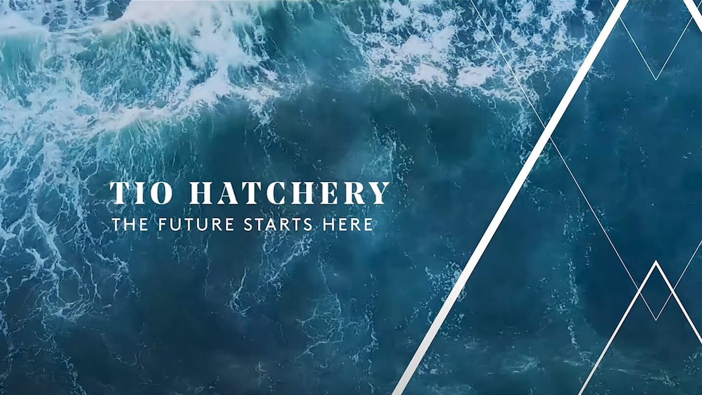 Nelson Tio Hatchery