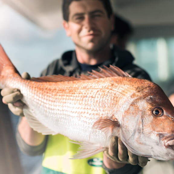 Responsible fishers