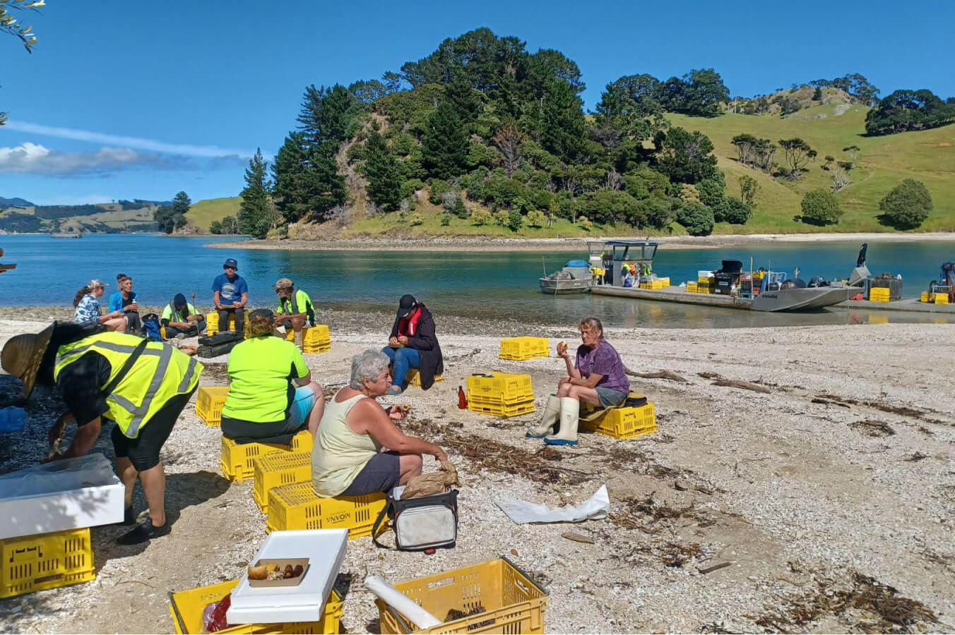 Coromandel annual coastal clean-up